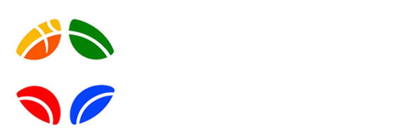 新发展体育
